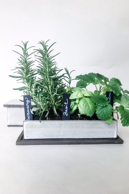 A unique ceramic herb planter – The Kinship Collection