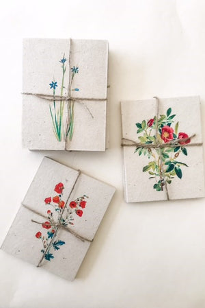 Spring Postcards on Plantable Seed Paper