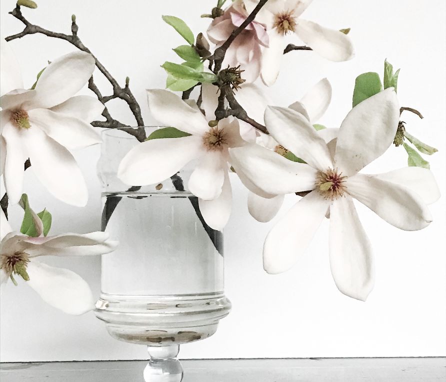 Fresh Spring Ideas to Welcome the New Season
