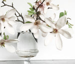 Fresh Spring Ideas to Welcome the New Season