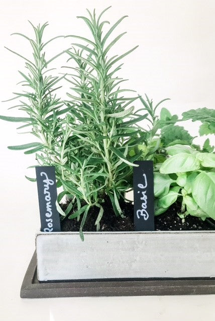 Ceramic Kitchen Herb Planter