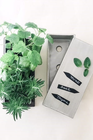 Ceramic Kitchen Herb Planter