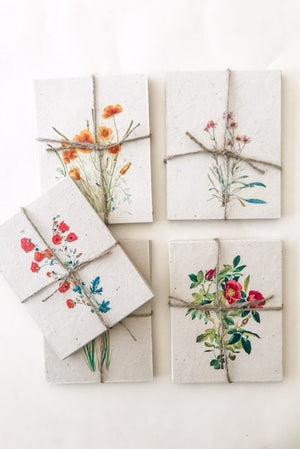 Spring Postcards on Plantable Seed Paper