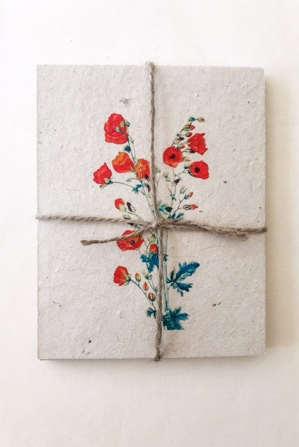 Spring Postcards on Plantable Seed Paper